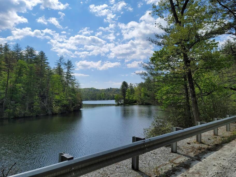 Cozy Swamp Rabbit - Sans Souci Greenville Furman المظهر الخارجي الصورة